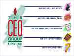 The CEO Group Inc.